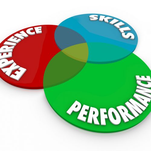 Experience Skills Performance Venn Diagram Employee Review