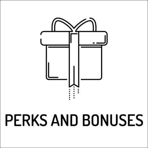 PERKS AND BONUSES Line icon